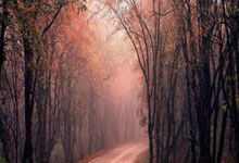 必一运动：2025年“印钞机”开到最大！.