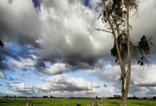 必一运动：2025年“印钞机”开到最大！.