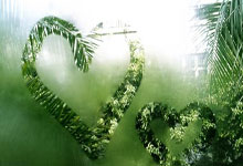 必一运动：誇德拉多因傷缺席國米對薩索洛的意甲比賽.